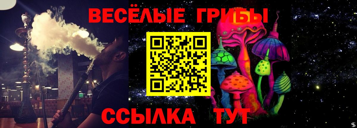 Псилоцибиновые грибы мицелий Фурманов