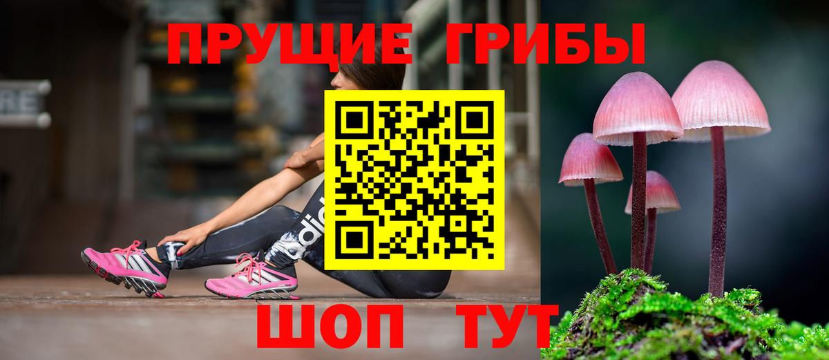 Галлюциногенные грибы Magic Shrooms  наркошоп  Фурманов  Вход с VPN 